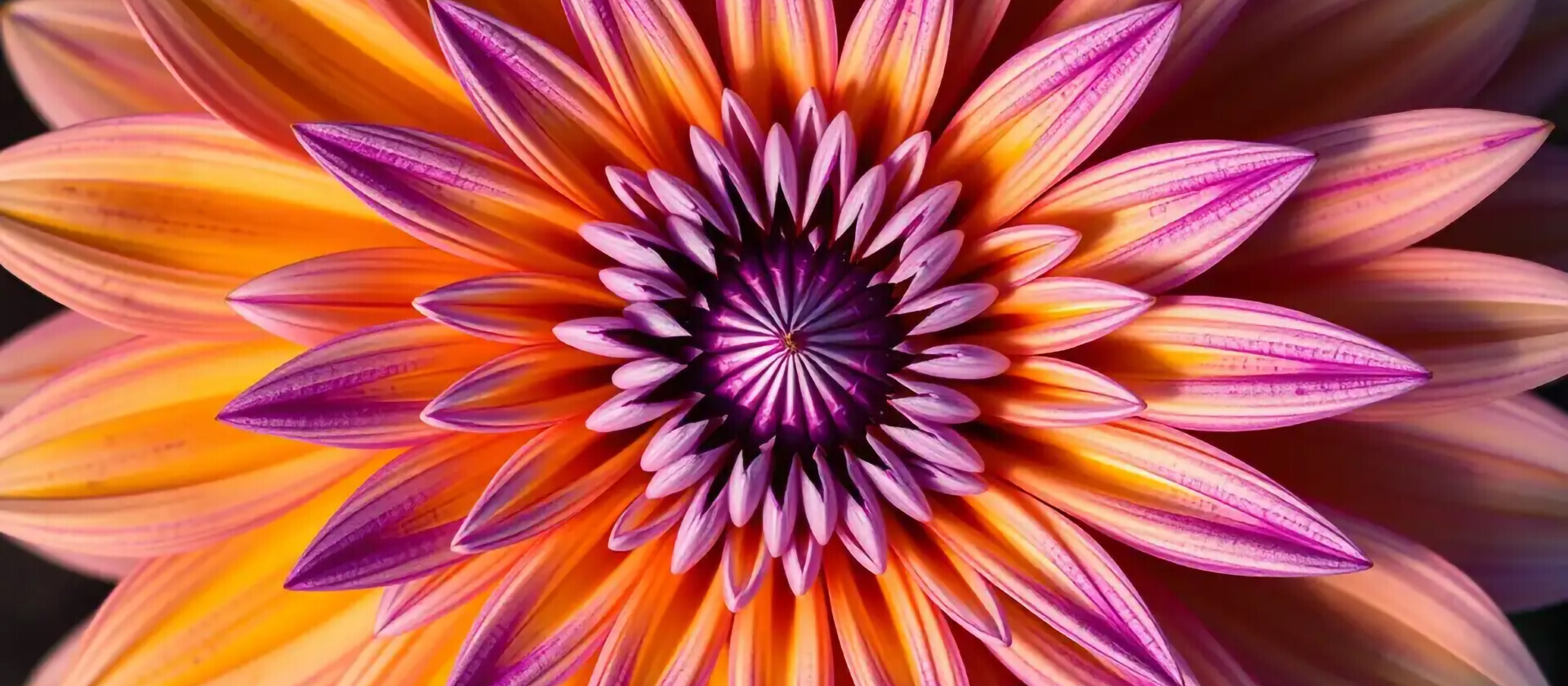 Strategic Marketing Alignment for Recruitment and Consultancy