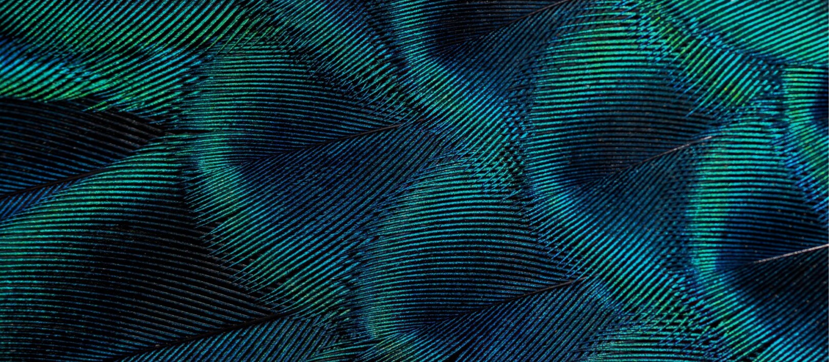 5 Recruitment Myths That Are Holding the Industry Back