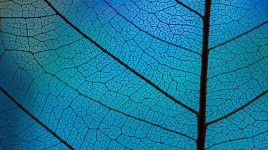 AEO and GEO in Recruitment Marketing: Staying Visible in the AI Search Era