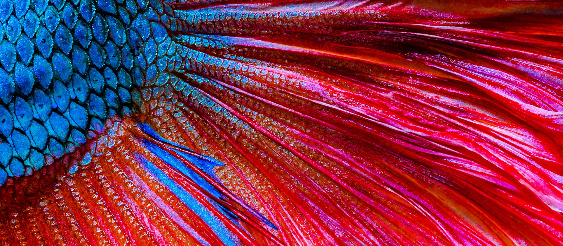 Building a Distinctive Recruitment Brand from the Ground Up