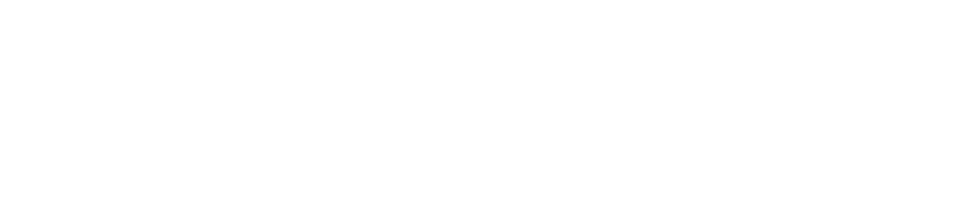 The Recruitment Guru