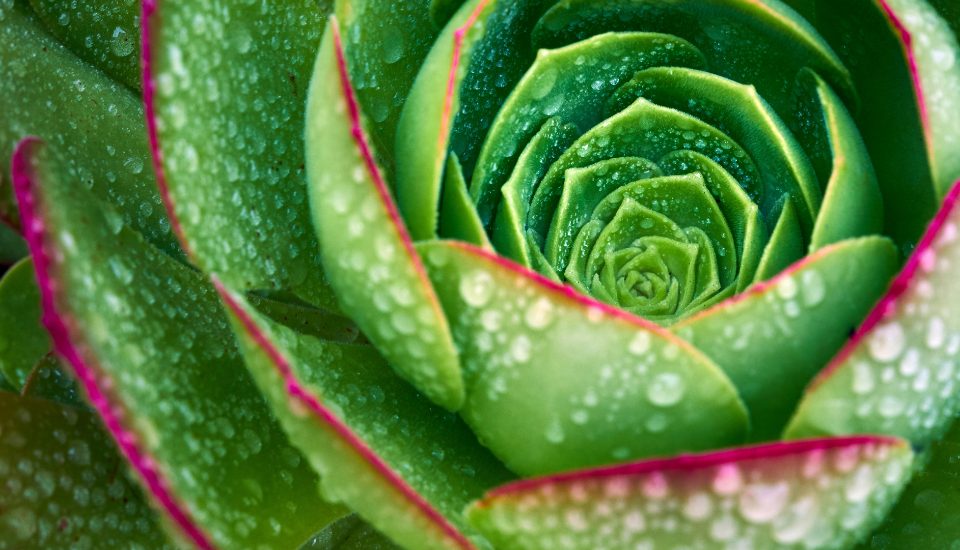 Marketing Revenue Attribution: Proving Marketing’s Impact on Recruitment Revenue